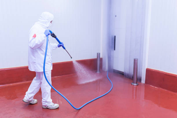Best Pre-Holiday Cleaning  in Willows, CA